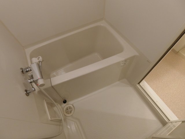 バス