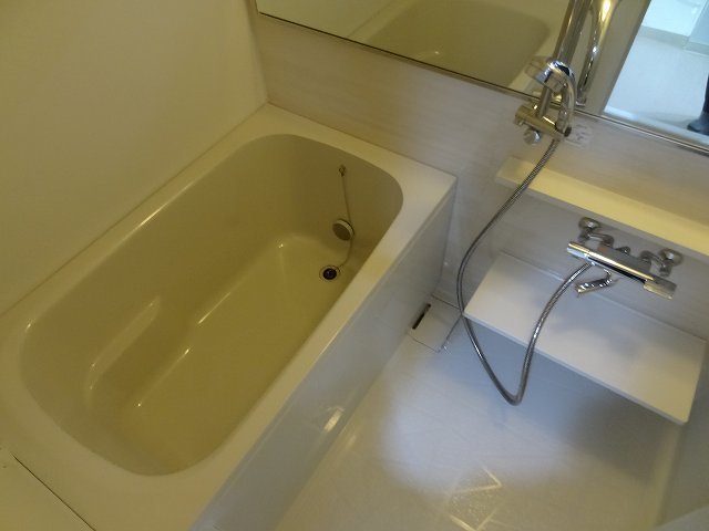 バス