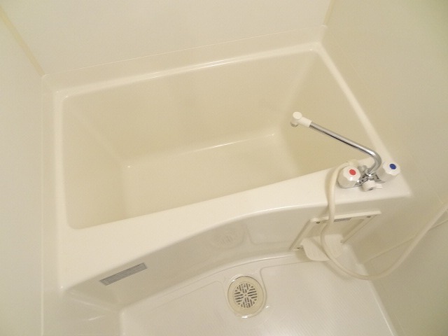 バス