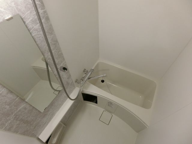 バス