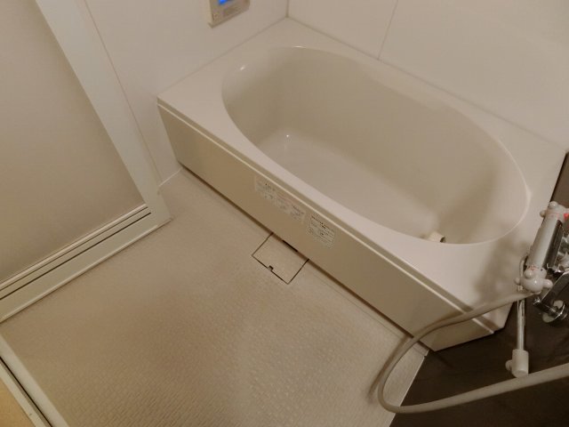 バス