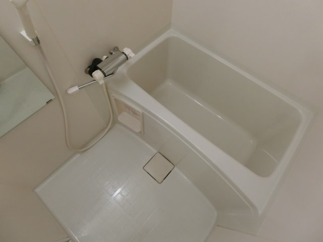バス