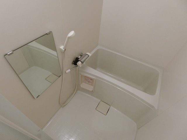 バス