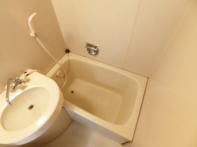 バス