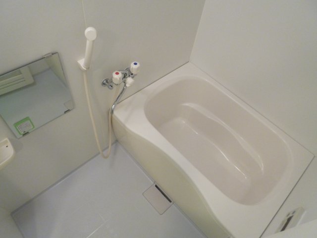 バス