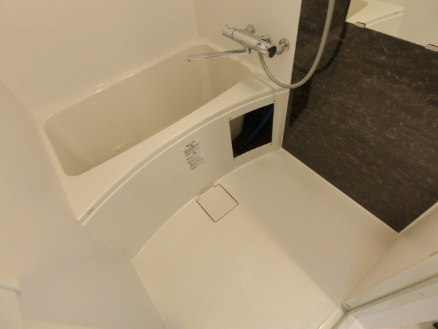 バス