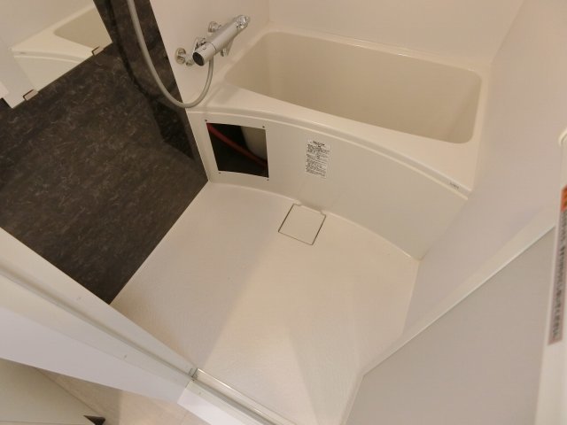 バス