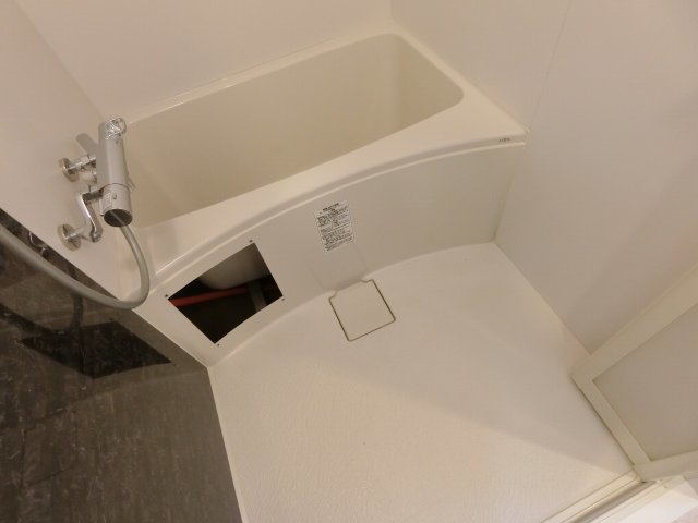 バス