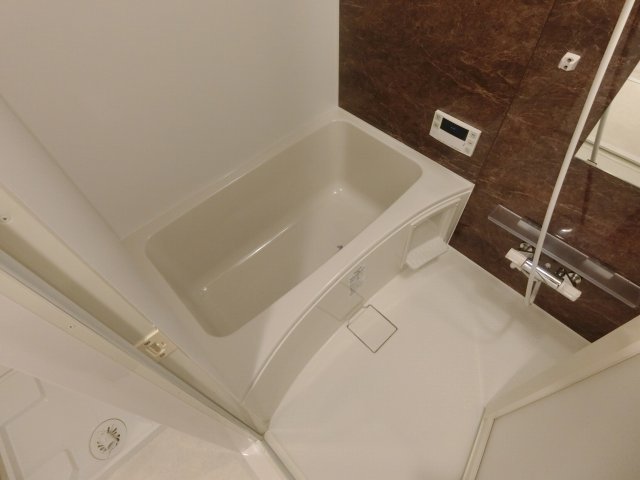 バス
