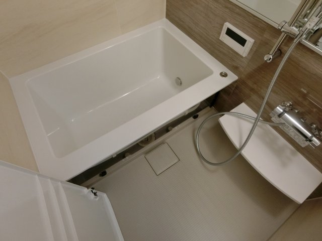 バス