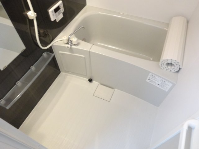 バス