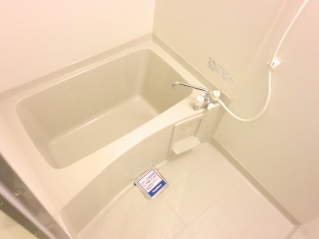 バス