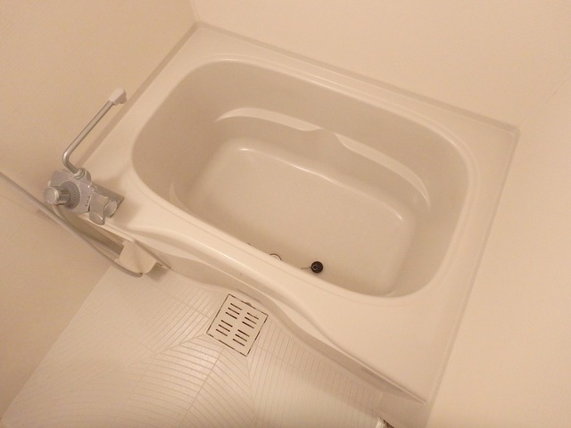 バス