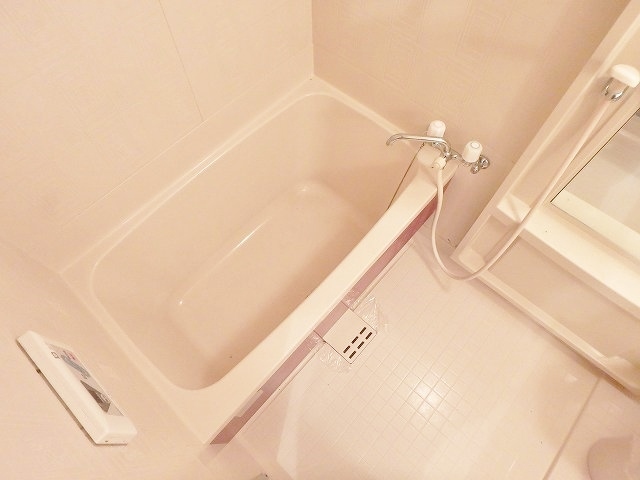 バス