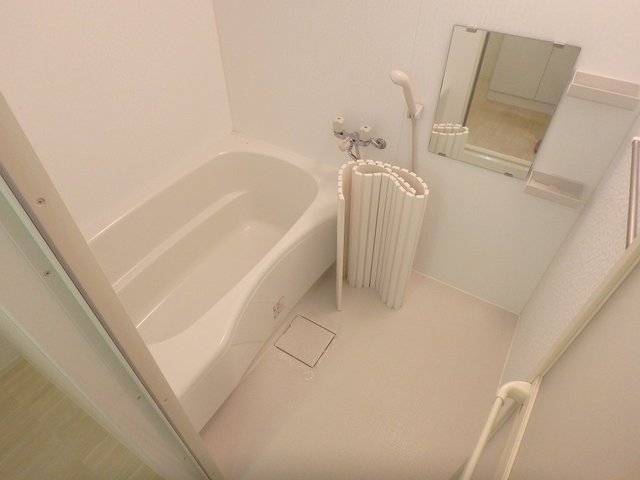 バス