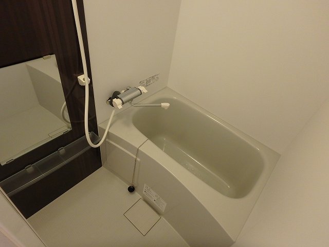 バス