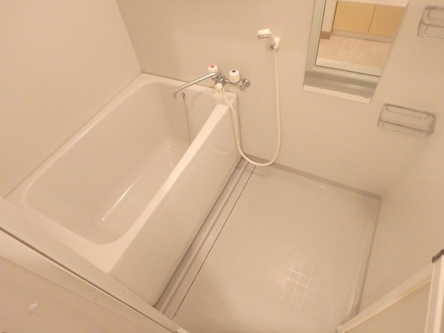 バス