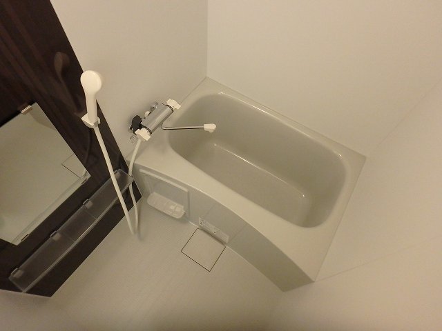 バス