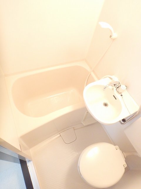 バス