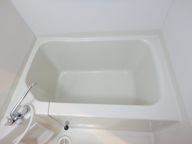 バス