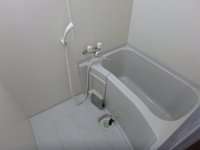バス