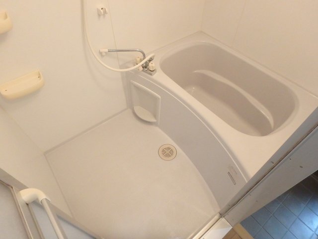 バス