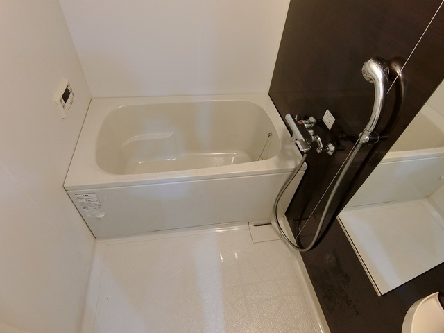 バス