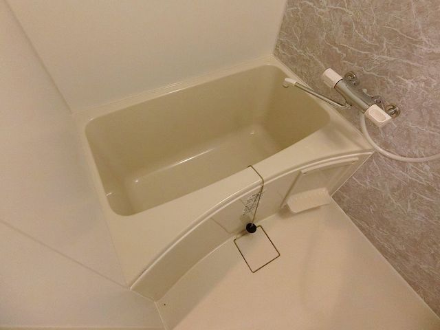 バス