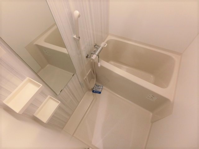 バス