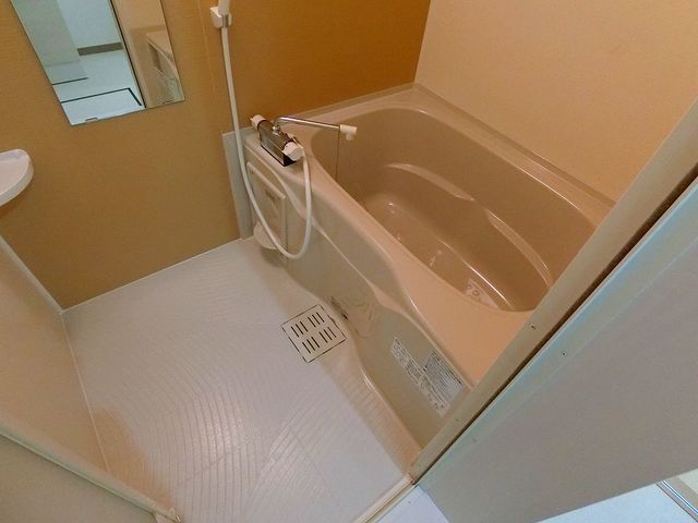バス