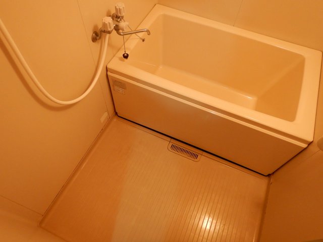 バス