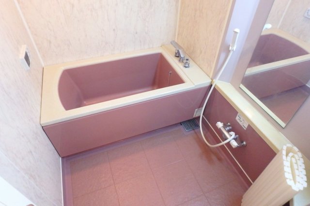 バス