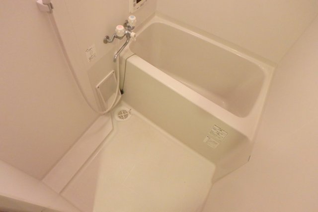 バス