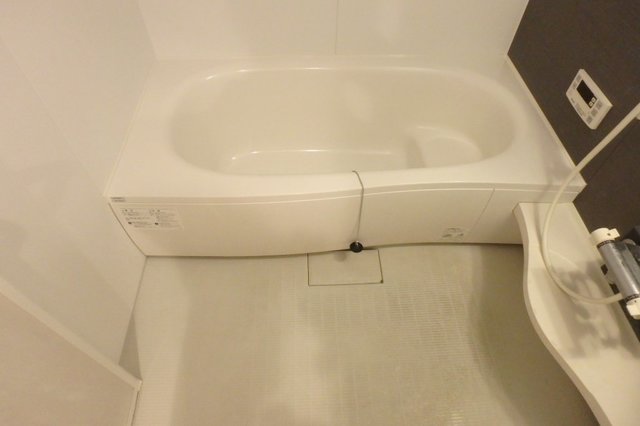 バス