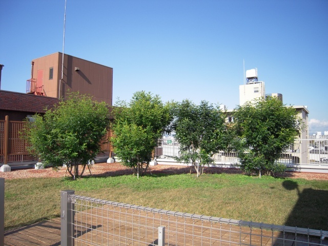 屋上ドッグラン