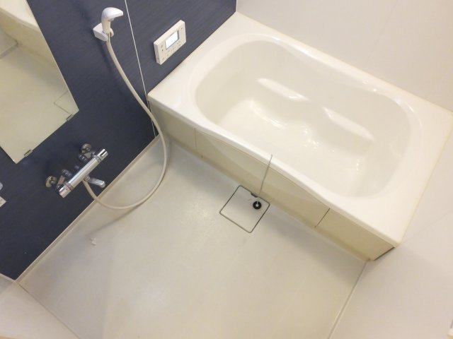 バス