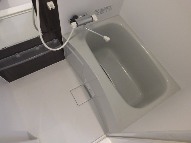 バス