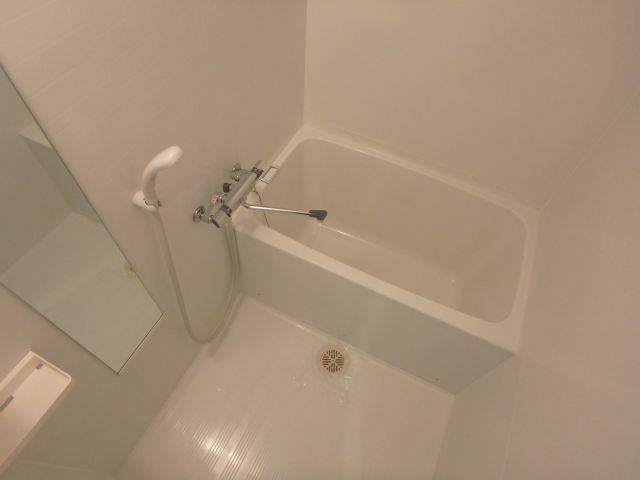 バス
