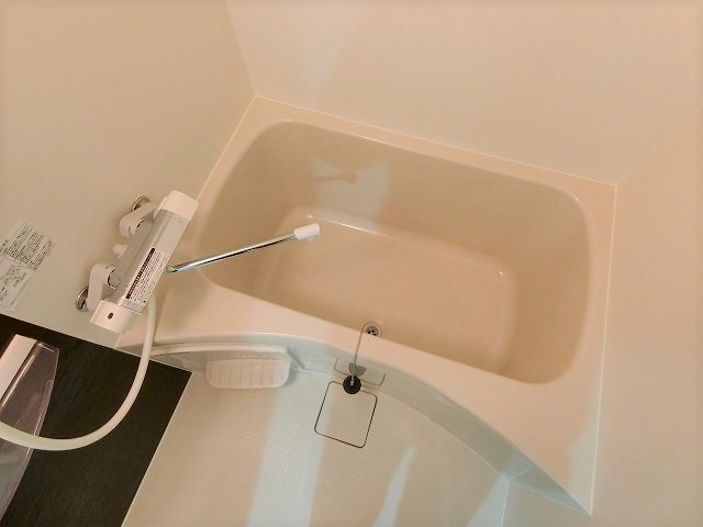 バス
